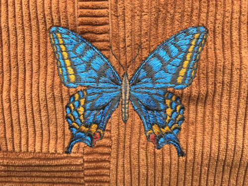 Kussen vlinder blauw